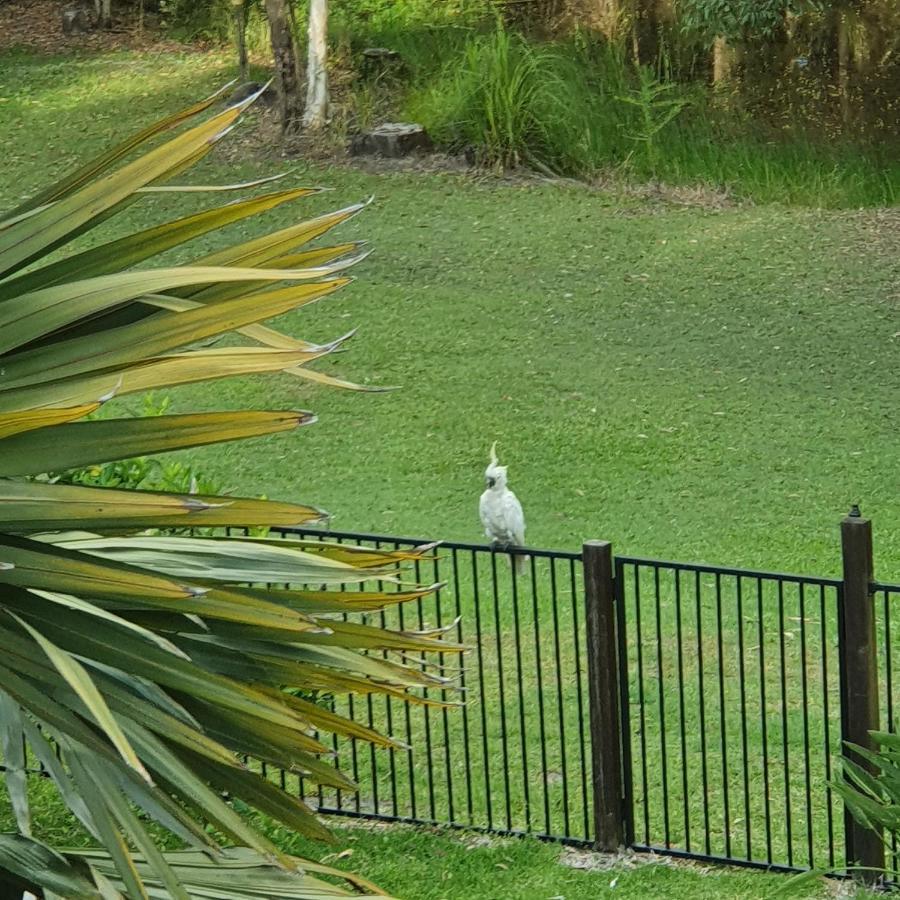 Clearwater Estate Guest House Doonan ภายนอก รูปภาพ